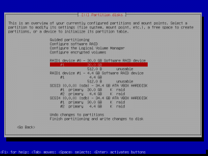 16debian install-partition disks-md done.png