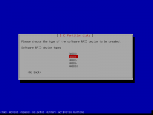 12debian install-partition disks-md new type.png