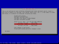 4debian install-partition disks-with empty partition tables.png